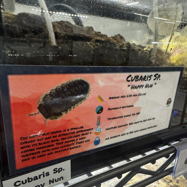 Cubaris Sp. Happy Nun Isopod Bin Label